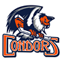 Condors