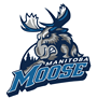 Moose