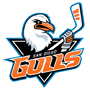 San Diego Gulls